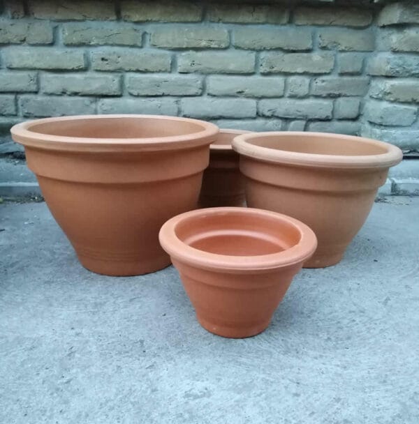 Campana