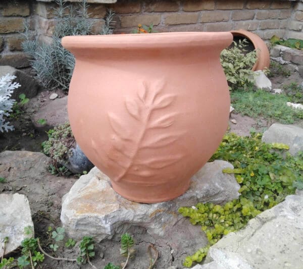 Jar Elia
