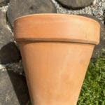 Vaso