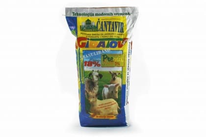 gidatov1zaishranujagnjadiijaradi gidatov1zaishranujagnjadiijaradi