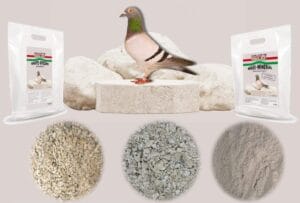 Irisz Maxi-Mineral – mineralni dodatak za golubove i živinu 5kg Irisz Maxi-Mineral – mineralni dodatak za golubove i živinu 5kg - Слика 1