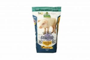 Premium starter za prasad Premium starter za prasad - Слика 1