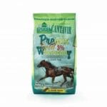 premixgold3witaderby