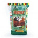 starterzaprasad