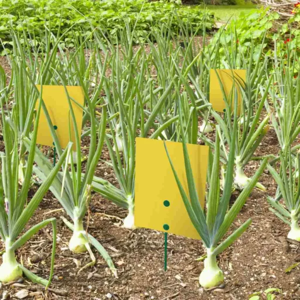 bio plantella zute lepljive ploce sa postoljem za luk 5 1 2