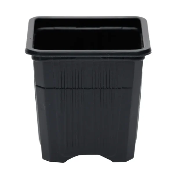 saksija-za-rasad-7-x-7-x-6-5-cetvrtasta-1 saksija za rasad 7 x 7 x 6 5 cetvrtasta 1