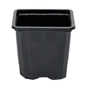 Saksija za rasad 8x8 cm četvrtasta crna plastična PVC Saksija za rasad 8x8 cm četvrtasta crna plastična PVC - Slika 1