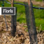 zastitna mreza za voce 55cm floris crna 1