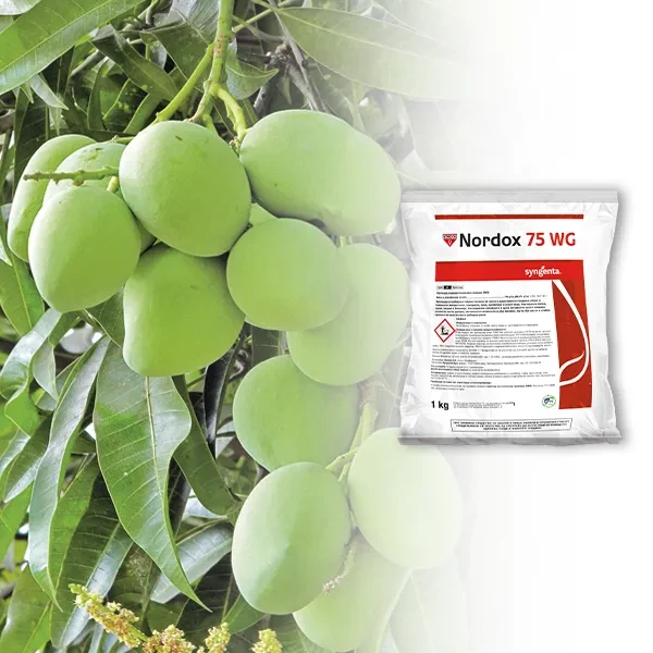 Nordox 75 WG bakarni fungicid 20 g Nordox 75 WG bakarni fungicid, kesica 20 g