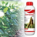 Savazon 480 selektivni herbicid za soju i lucerku, pakovanje 1 l